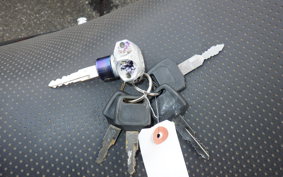 HONDA HORNET 250 MC31