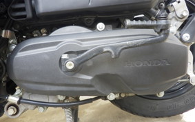 HONDA TACT Basket AF79