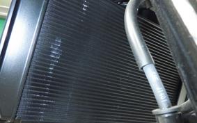 KAWASAKI Z900RS CAFE 2025 ZR900K