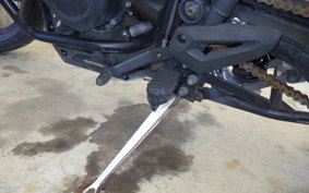 TRIUMPH TIGER800(ショルイナ