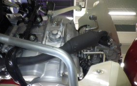 HONDA C50 SUPER CUB 2025 AA09