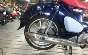 HONDA  SUPER CUB C125 JA48