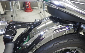 KAWASAKI W800 2024 EJ800E