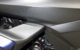 SUZUKI ｼﾞｸｻｰ250SF 2009 ED22Y