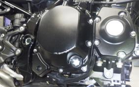 KAWASAKI Z900RS 2022 ZR900C