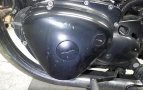 KAWASAKI W800 STREET 2021