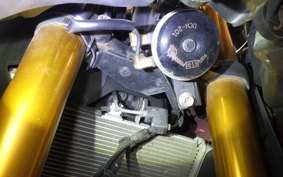 YAMAHA YZF-R25 A 2024 RG43J