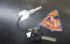 KAWASAKI ZZ-R250 2006 EX250H