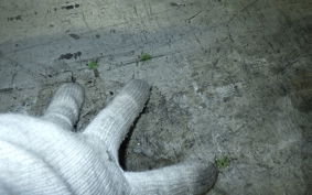 KAWASAKI ZX-25R ZX250E