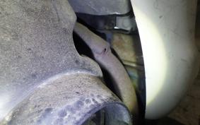 HONDA DIO FIT AF27