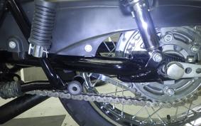 KAWASAKI Z1000 2024 Z1F