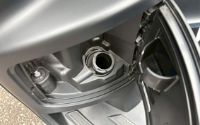 OTHER PU GEORGE YANGO125ABS
