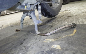 HONDA CREA SCOOPY AF55