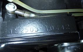 SUZUKI TS250 TS2503