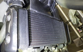 YAMAHA XSR155 2020