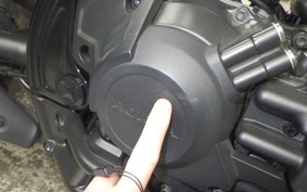 HONDA REBEL 1100 DCT 2021 SC83