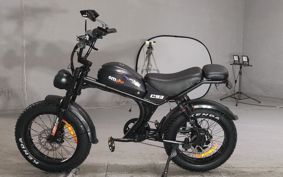 OTHER DENDOU BIKE  ..
