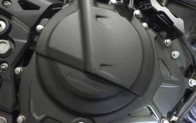 KAWASAKI Z250 Gen.2 2007 EX250Y