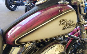 HARLEY FXDL1580 2016 GN4