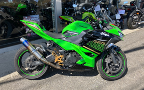 KAWASAKI NINJA 250 EX250P