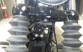 HARLEY FXBB1920 2025