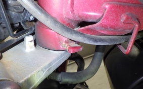 HONDA MONKEY 125 ABS 1994 JB02