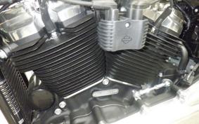 HARLEY FXST1750 2025