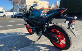 YAMAHA YZF-R25 ABS RG43J