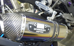 KAWASAKI Z250 2008 ER250C