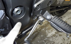 KAWASAKI NINJA 1000 SX 2021 ZXT02K