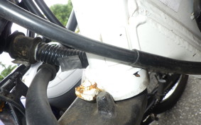YAMAHA TW225 DG09J