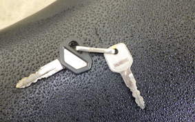 KAWASAKI ZZ-R250 EX250H