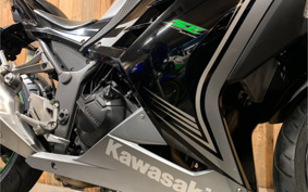 KAWASAKI Ninja 250 SE EX250L
