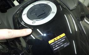 SUZUKI DL650 ( V-Strom 650 ) A 2025 C733M
