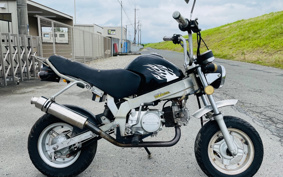 OTHER LIFAN KIT BIKE