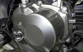 KAWASAKI Z125 PRO BR125H