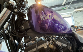 HARLEY XL883N 2014 LE2