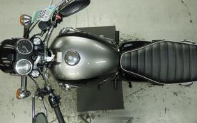 KAWASAKI W800 2024 EJ800E