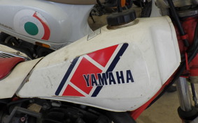 YAMAHA TY250 53Y