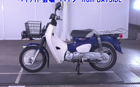 OTHER C110PU LOW 3