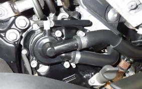 YAMAHA MAJESTY 250 Gen.4 2021 SG20J