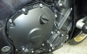 YAMAHA YZF-R1 2010 RN24J