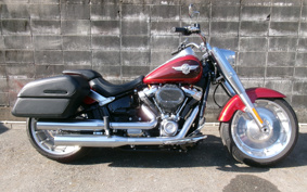 HARLEY FLFBS 2018 YGK