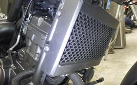 HONDA REBEL 250 A 2023 MC49
