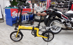 OTHER RICHBIT TOP619