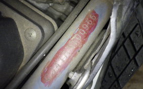 SUZUKI SKYWAVE 250 (Burgman 250) CJ41A