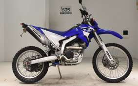 YAMAHA WR250R 2002 DG15J