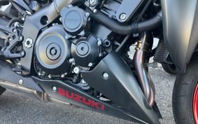 SUZUKI GSX-S1000 2020 GT79B