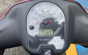 HONDA  TACT  BASIC  AF79