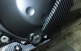 KAWASAKI ZZ1400 NINJA R A 2014